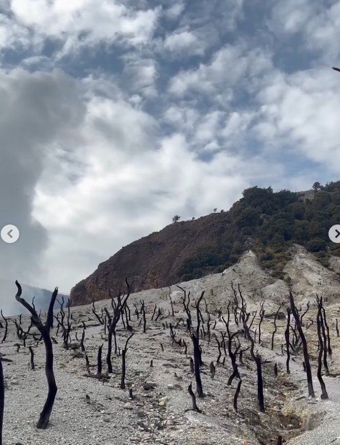 Jelajah Gunung Papandayan: Pesona Kawah Vulkanik dan Padang Edelweiss Tegal Alun - 4
